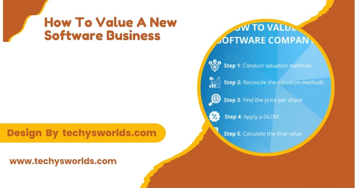 How To Value A New Software Business – The Complete Guide!