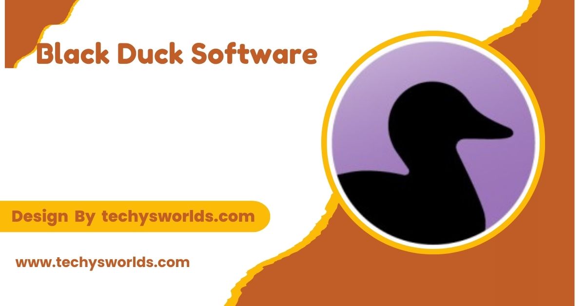 Black Duck Software - An In-Depth Overview!