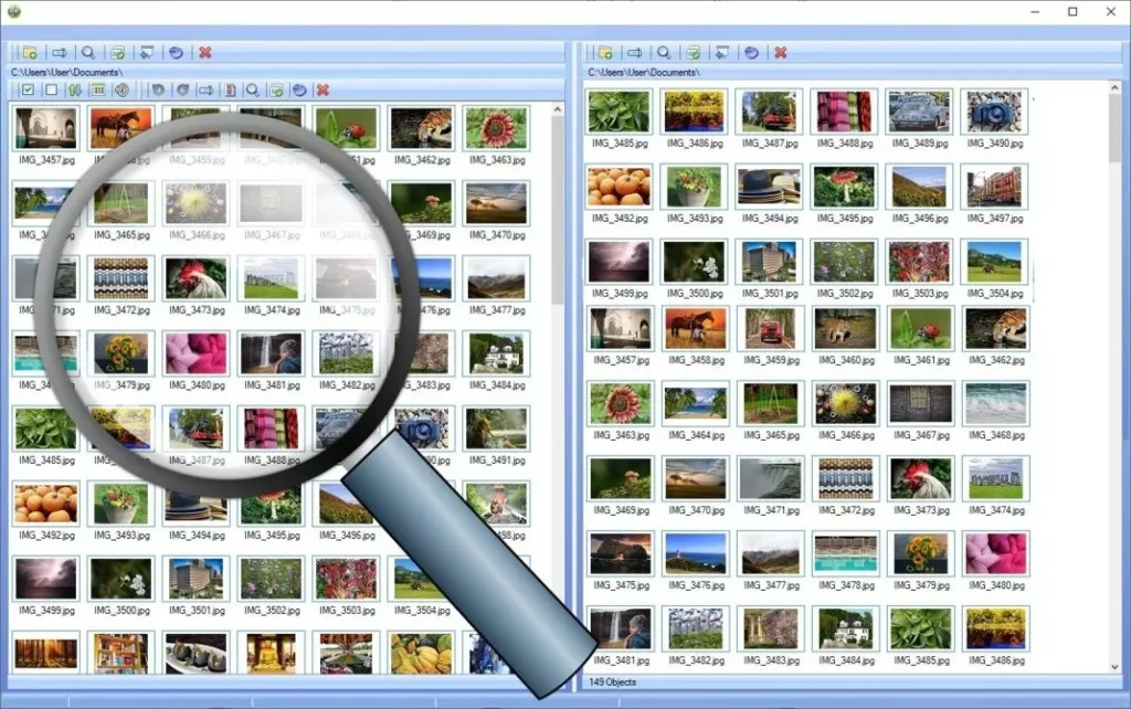 Selecting the Right Photo Organizing Software: